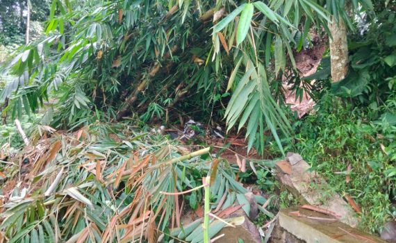 Longsor tpt samisade (1)